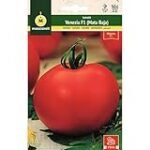 Análisis de las Variedades de Tomate Mata Baja: Encuentra la Mejor Opción Natural