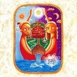 Análisis de los mejores productos naturales con rúcula salvaje: ¡Descubre sus beneficios y opciones más destacadas!