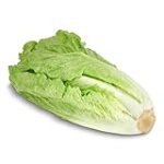 Tipos de Lechugas: Análisis y Comparativa de las Mejores Variedades Naturales